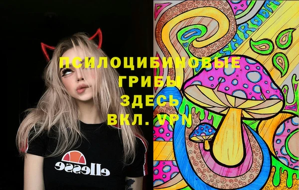 амф Алзамай