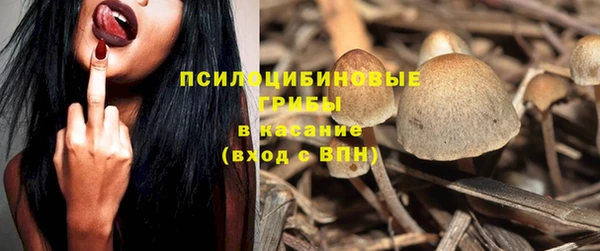 спиды Алексеевка