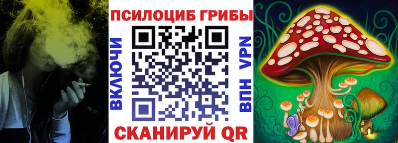 KRAKEN зеркало  Миасс  Галлюциногенные грибы Magic Shrooms 