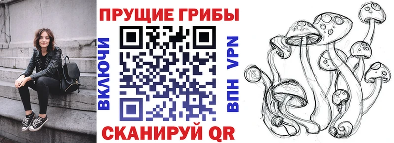 Галлюциногенные грибы Psilocybe Миасс